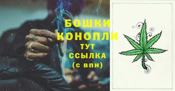 2c-b Бердск
