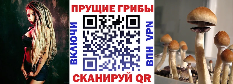 Галлюциногенные грибы Magic Shrooms  кракен ссылки  Палласовка 